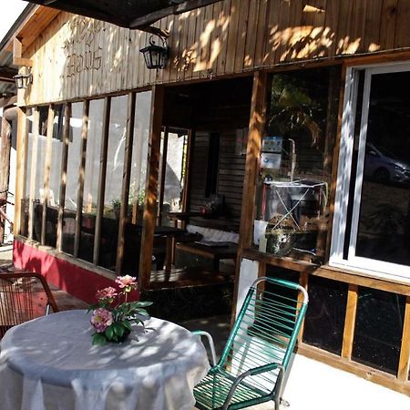 بيت شباب Krieger Haus بويرتو إجوازو المظهر الخارجي الصورة