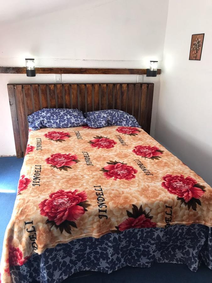 بيت شباب Krieger Haus بويرتو إجوازو المظهر الخارجي الصورة